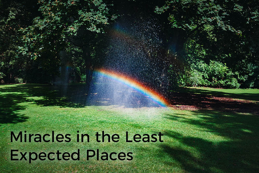 miracles-in-the-least-expected-places