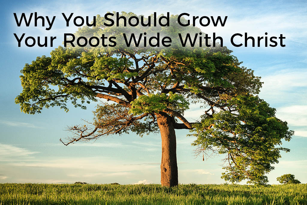 why-you-should-grow-your-roots-wide-with-christ