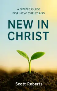 New in Christ book cover