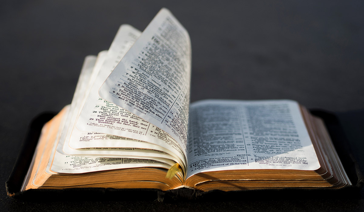 filter-everything-through-the-bible