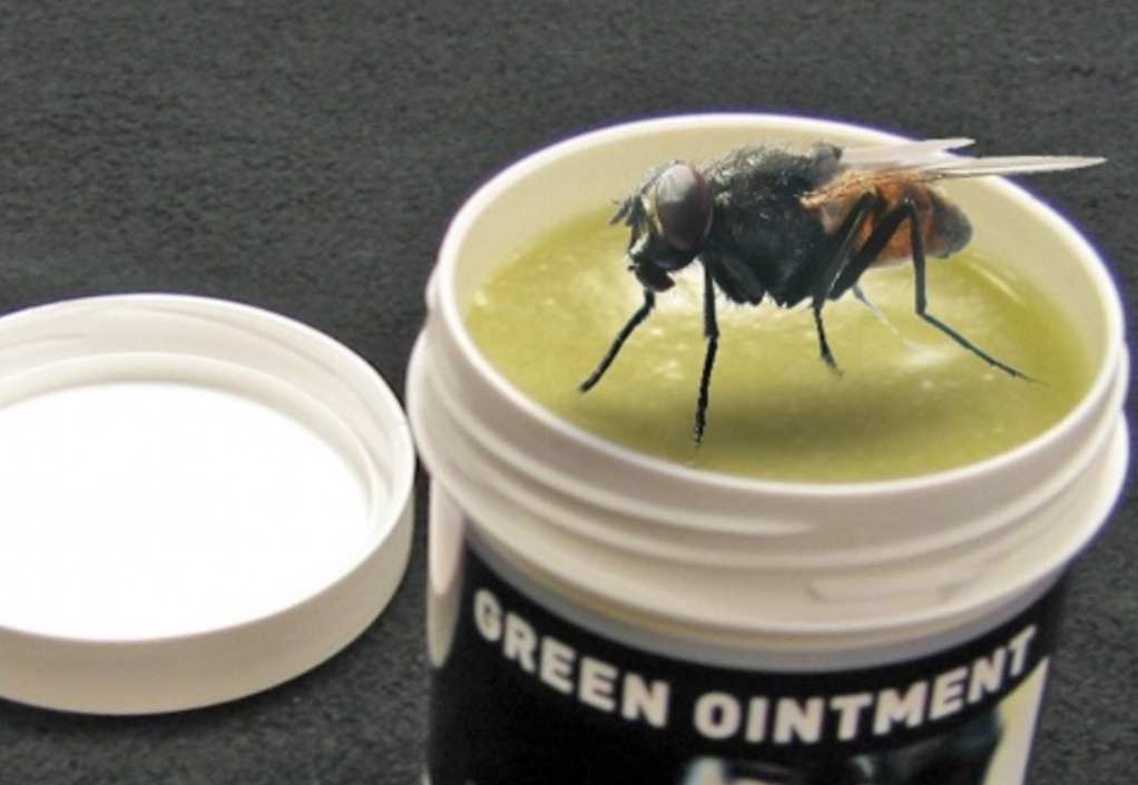 a-fly-in-the-ointment