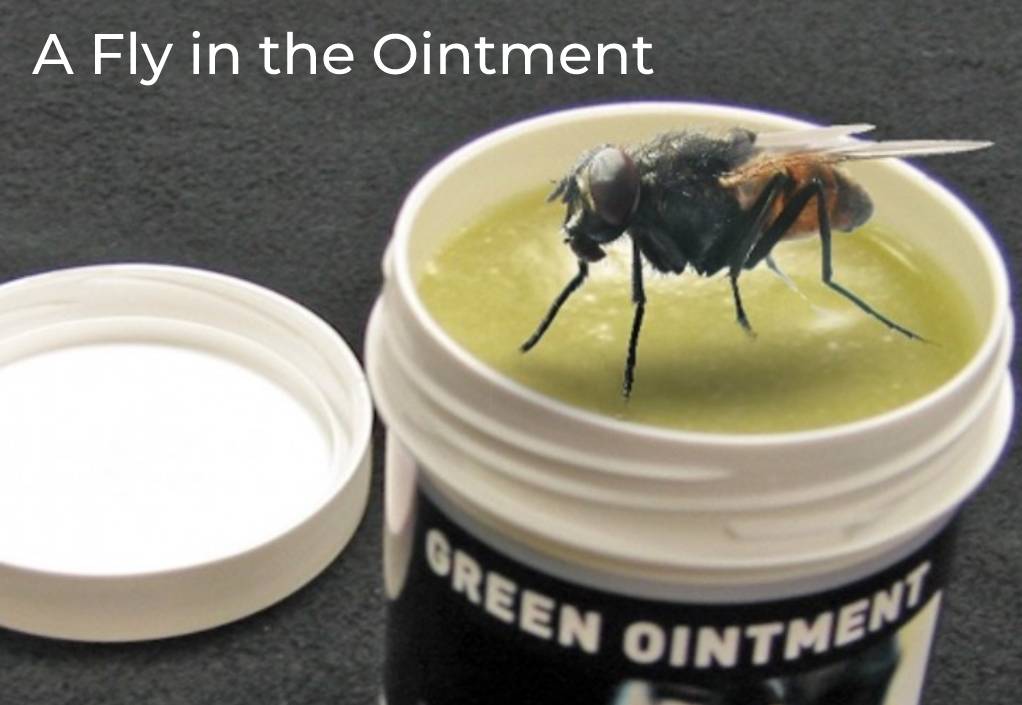 What Does Your A Fly In The Ointment Mean