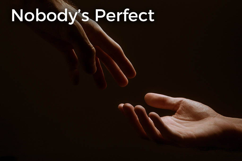 nobodys-perfect