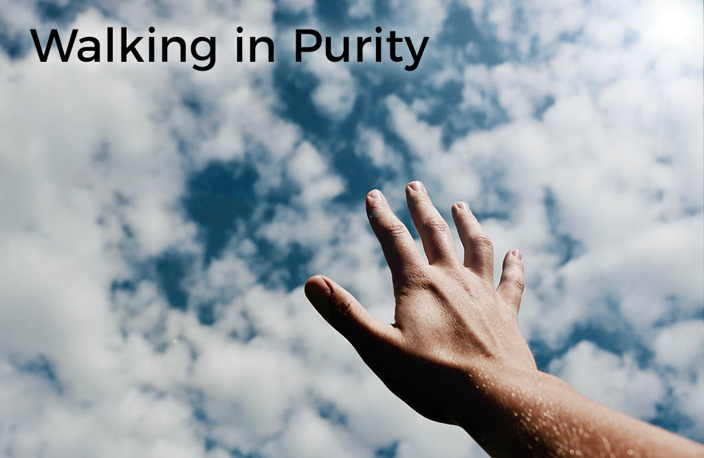 walking-in-purity