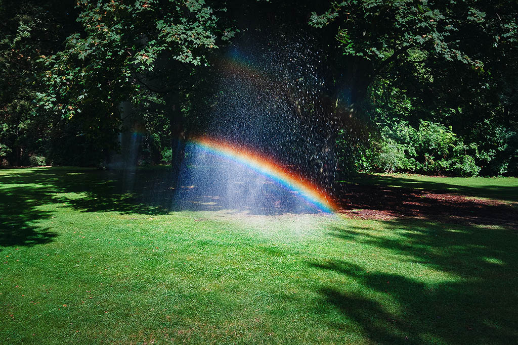 miracles-in-the-least-expected-places