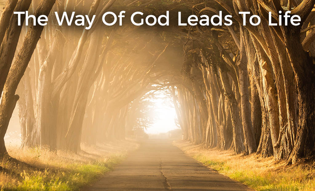 the-way-of-god-leads-to-life-post