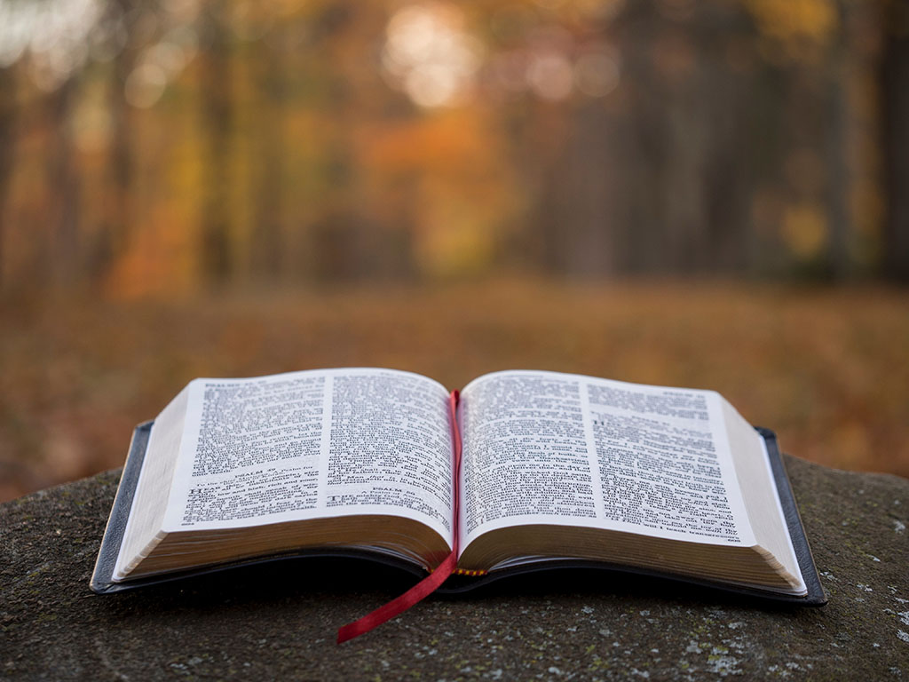 what-the-bible-says-about-itself-on-the-inerrancy-and-inspiration-of-scripture-header