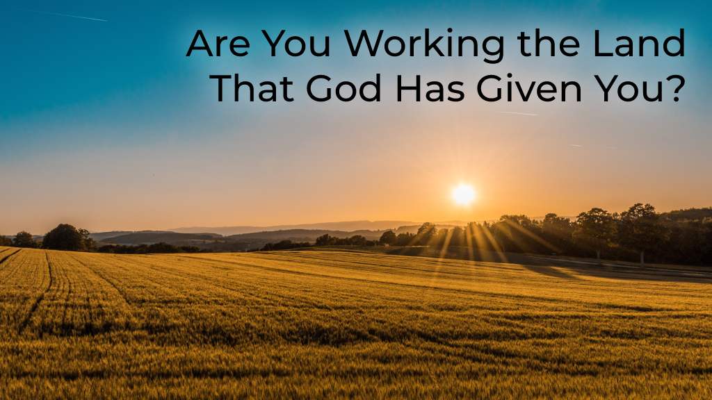 are-you-working-the-land-that-god-has-given-you