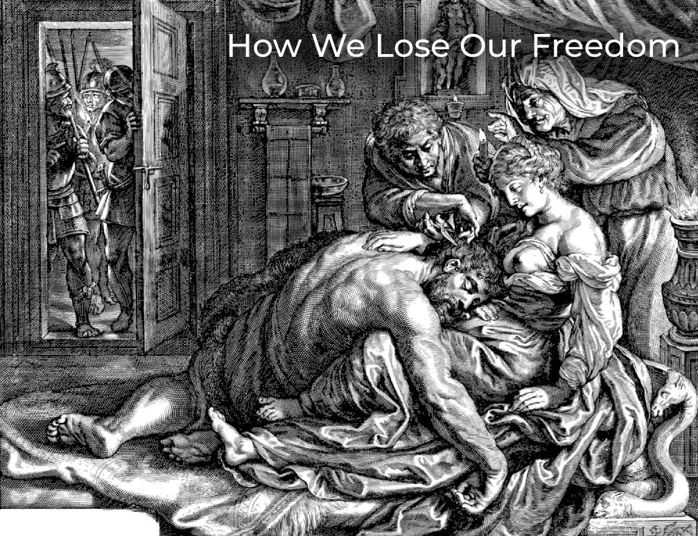 how-we-lose-our-freedom
