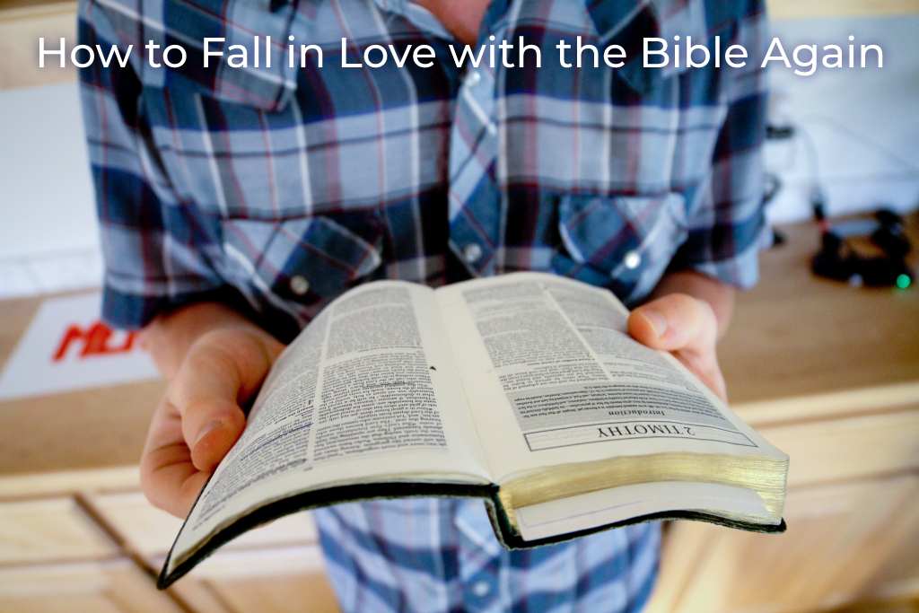 how-to-fall-in-love-with-the-bible-again